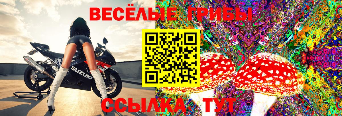 Галлюциногенные грибы MAGIC MUSHROOMS  цена наркотик  Златоуст  Вход с VPN 